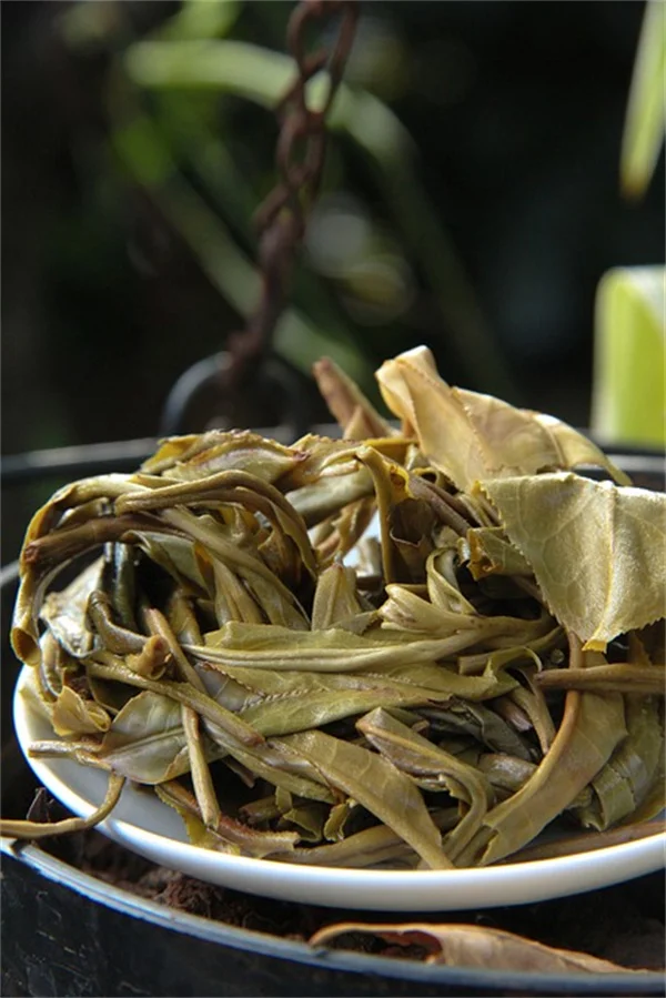 Why Do People Lie to Their Doctors? Shocking Study Reveals Generational Differences