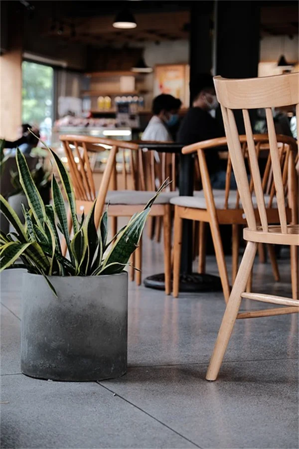 2024 LGBTQ+ Youth Mental Health Survey: Shocking Suicide Risk Findings